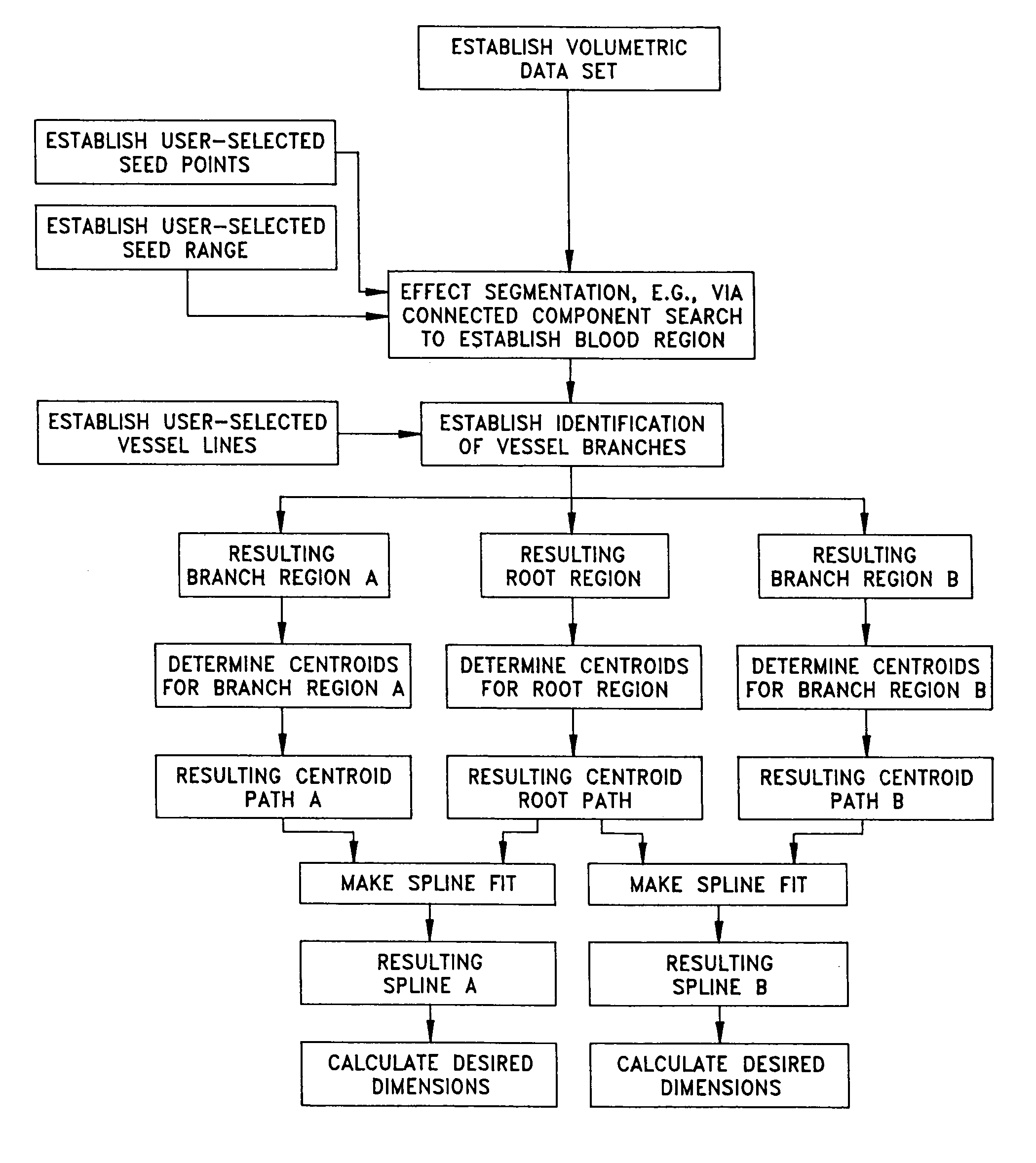 Anatomical visualization and measurement system