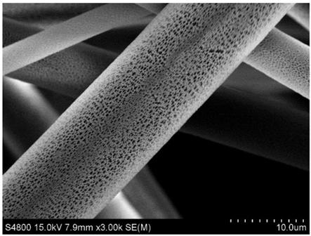 Polylactic acid/ZIF-8@C600 composite material and preparation method and application thereof