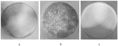 A composite sand-fixing model and its preparation method and application