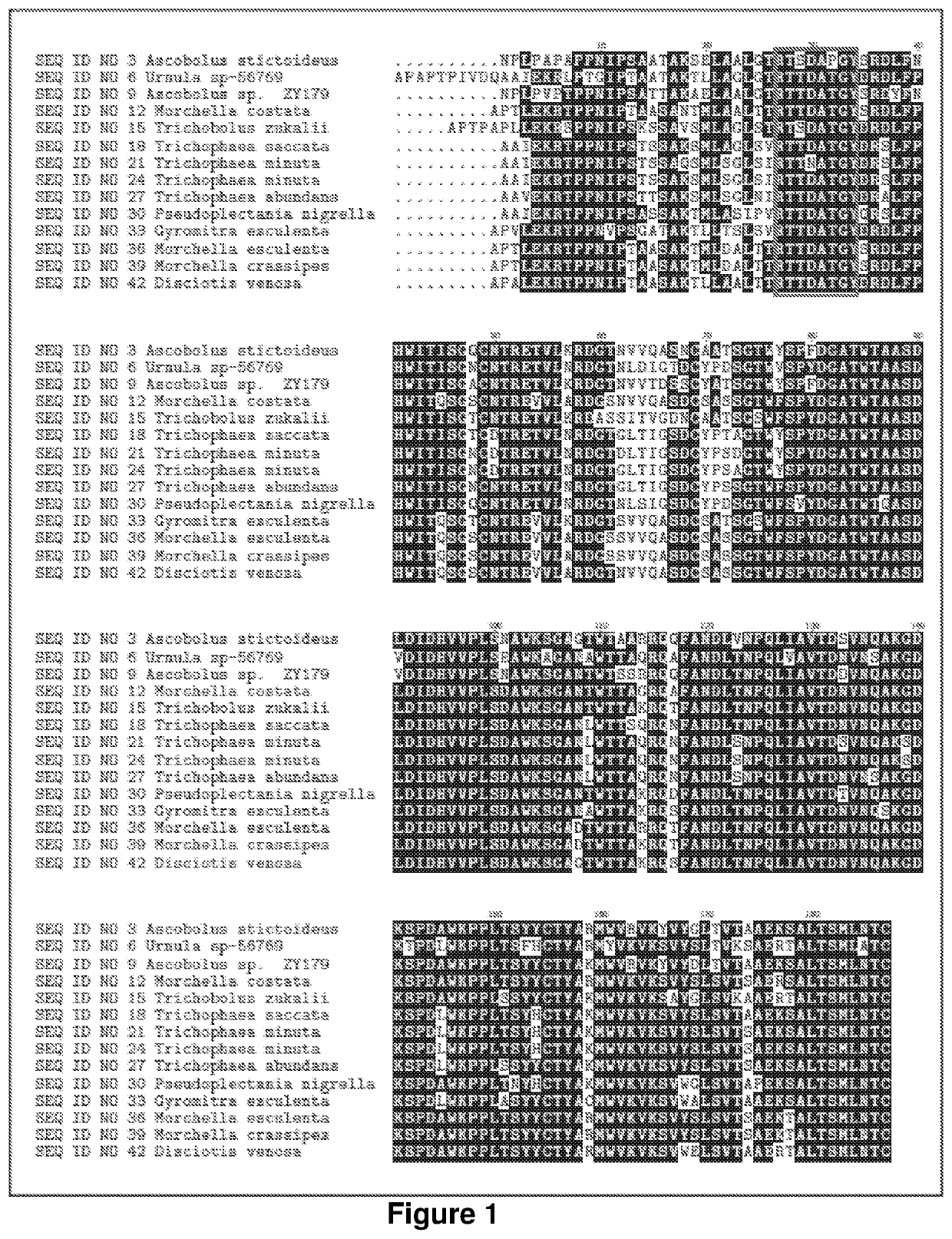 Polypeptides having DNase activity