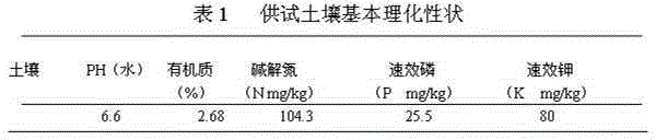 Chinese medicinal residue biological organic fertilizer and preparation method thereof