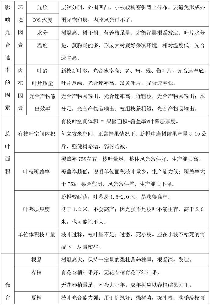 Pruning evaluation and adjustment method based on fruit tree photosynthetic yield and distribution principle