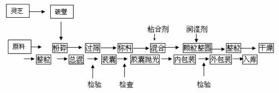 Ganoderma lucidum double vitamin methionine preparation and production method thereof