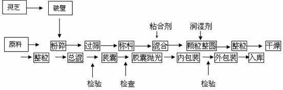 Ganoderma lucidum double vitamin methionine preparation and production method thereof