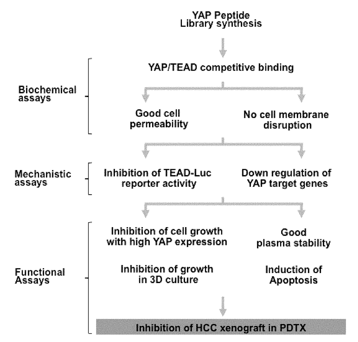 High activity tumour inhibitor and preparation method and use thereof