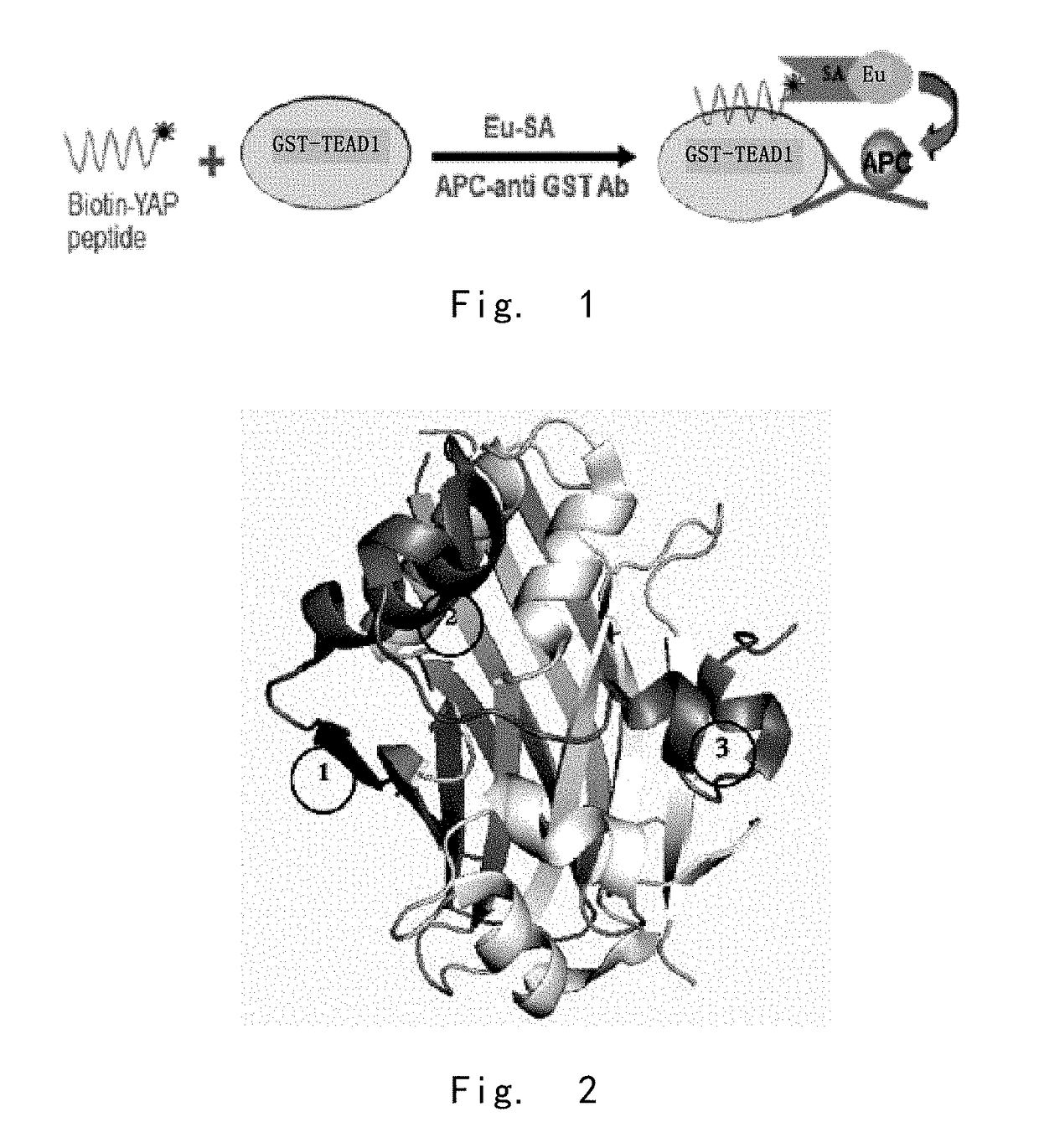 High activity tumour inhibitor and preparation method and use thereof