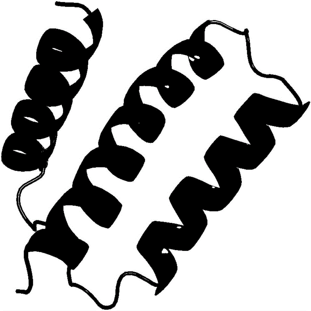 Protein conformation space optimization method based on quantum evolutionary algorithm