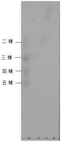 Preparation method of brown algae oligosaccharide monomers and brown algae oligosaccharide