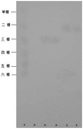 Preparation method of brown algae oligosaccharide monomers and brown algae oligosaccharide