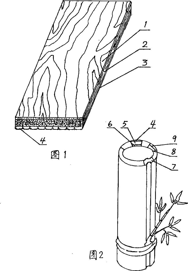 Laminated sheets of tabasheer core layer and the outer bamboo bottom layer and the processing method