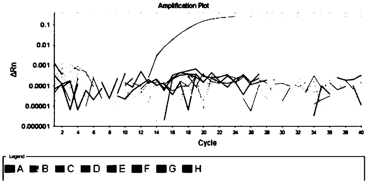 Rapid qualitative and quantitative detection kit, detection method and application of Lactobacillus casei added in feed