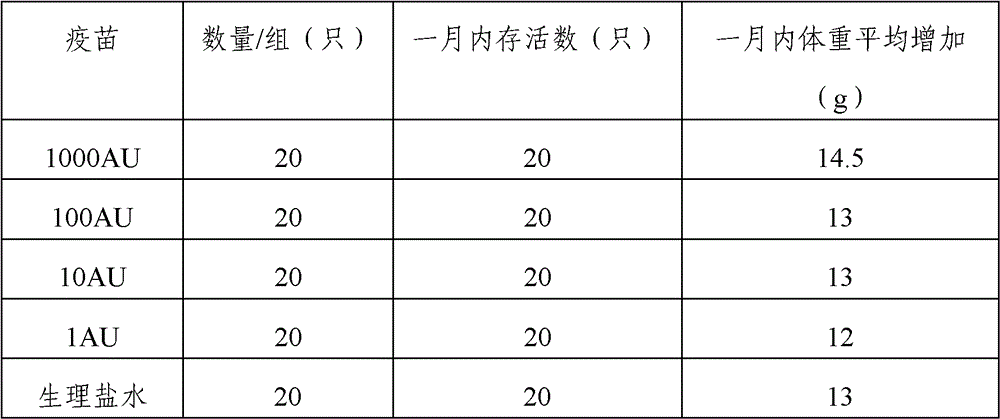 Injectable artemisia pollen allergen vaccine and preparation method thereof