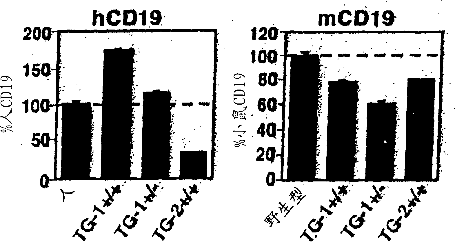 Anti-CD19 antibodies and uses in oncology