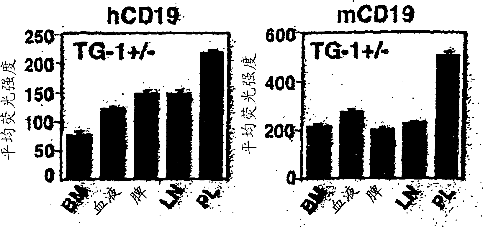 Anti-CD19 antibodies and uses in oncology