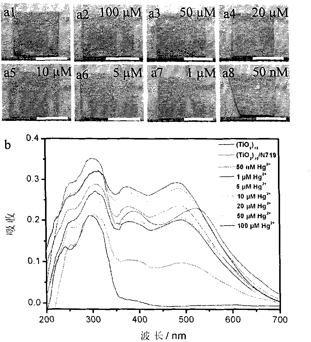 Preparation method of mercury ion colorimetric sensing cellulose material