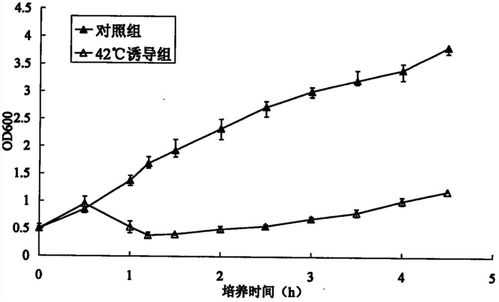 Double-target DNA vaccine and constructing method thereof