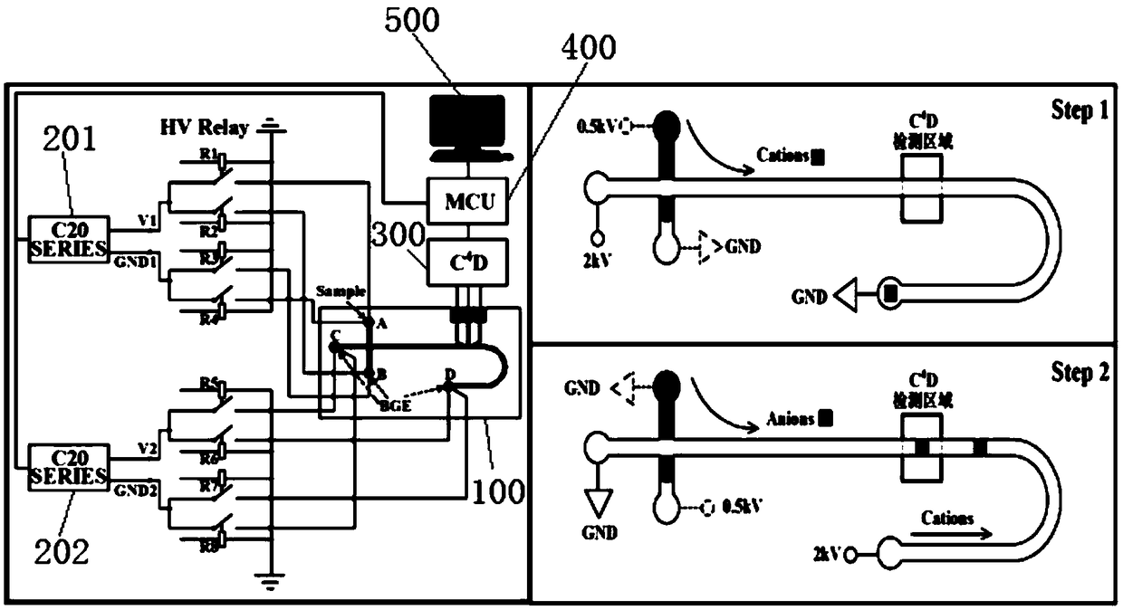 Microchip electrophoresis system capable of synchronously detecting negative and positive ions and detection method thereof