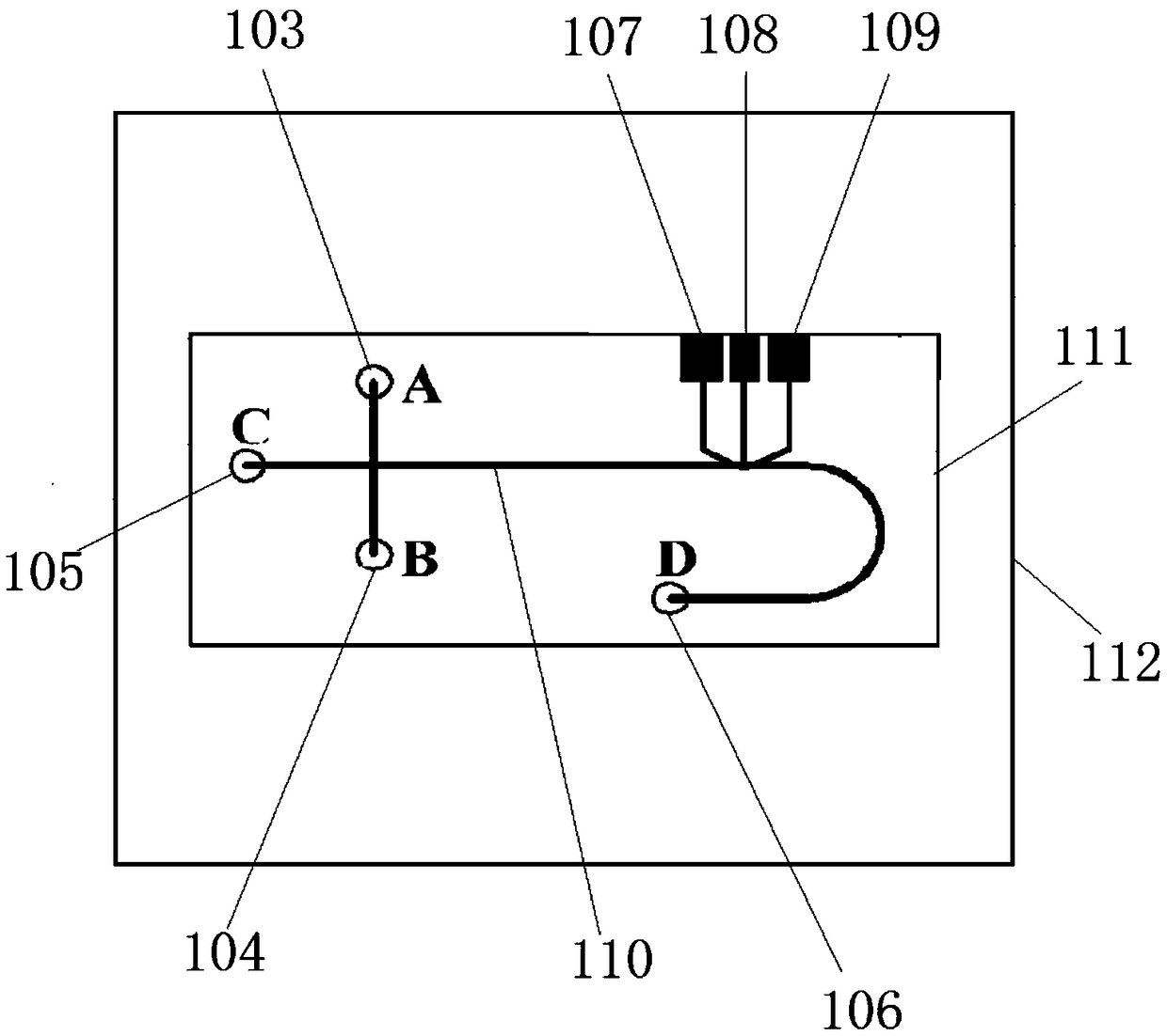 Microchip electrophoresis system capable of synchronously detecting negative and positive ions and detection method thereof