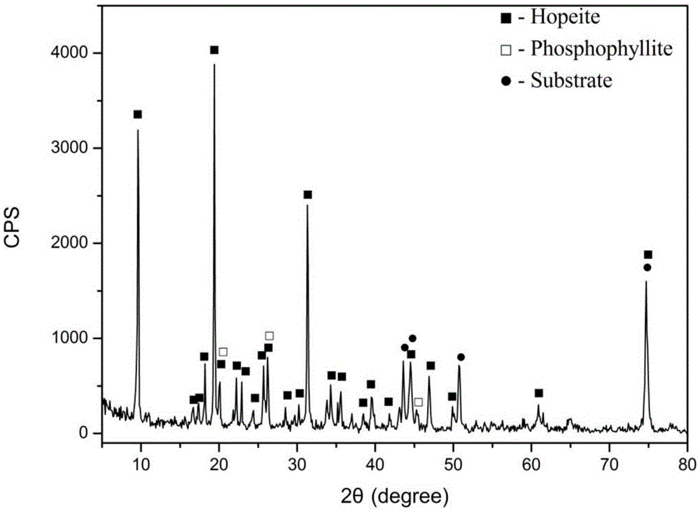 A kind of preparation method of zinc phosphate chemical conversion film with hierarchical structure