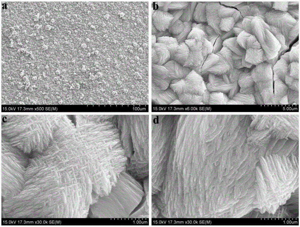 A kind of preparation method of zinc phosphate chemical conversion film with hierarchical structure