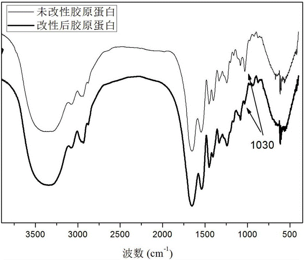 Preparation method of vinyl collagen