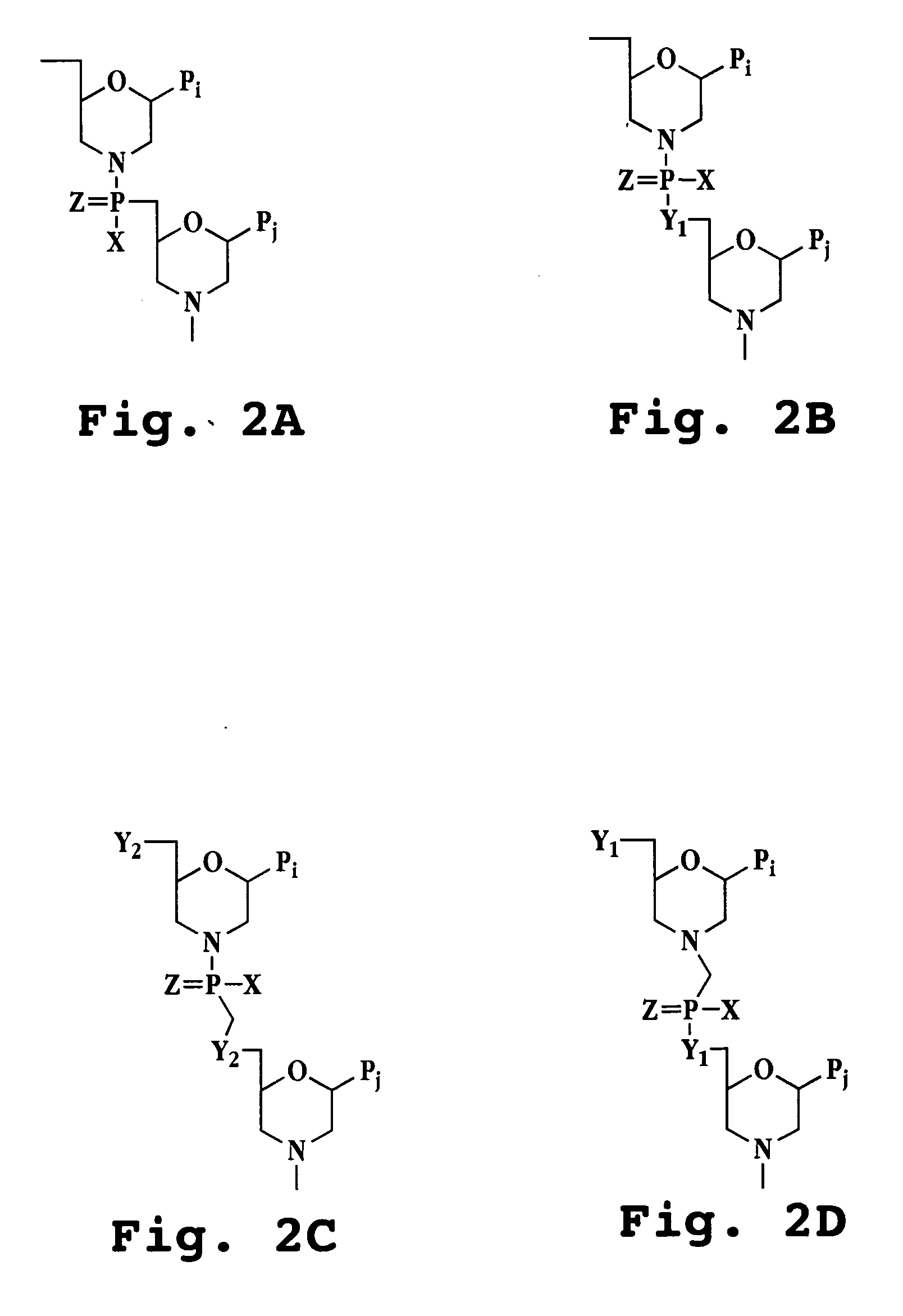 Antisense antibacterial method and compound