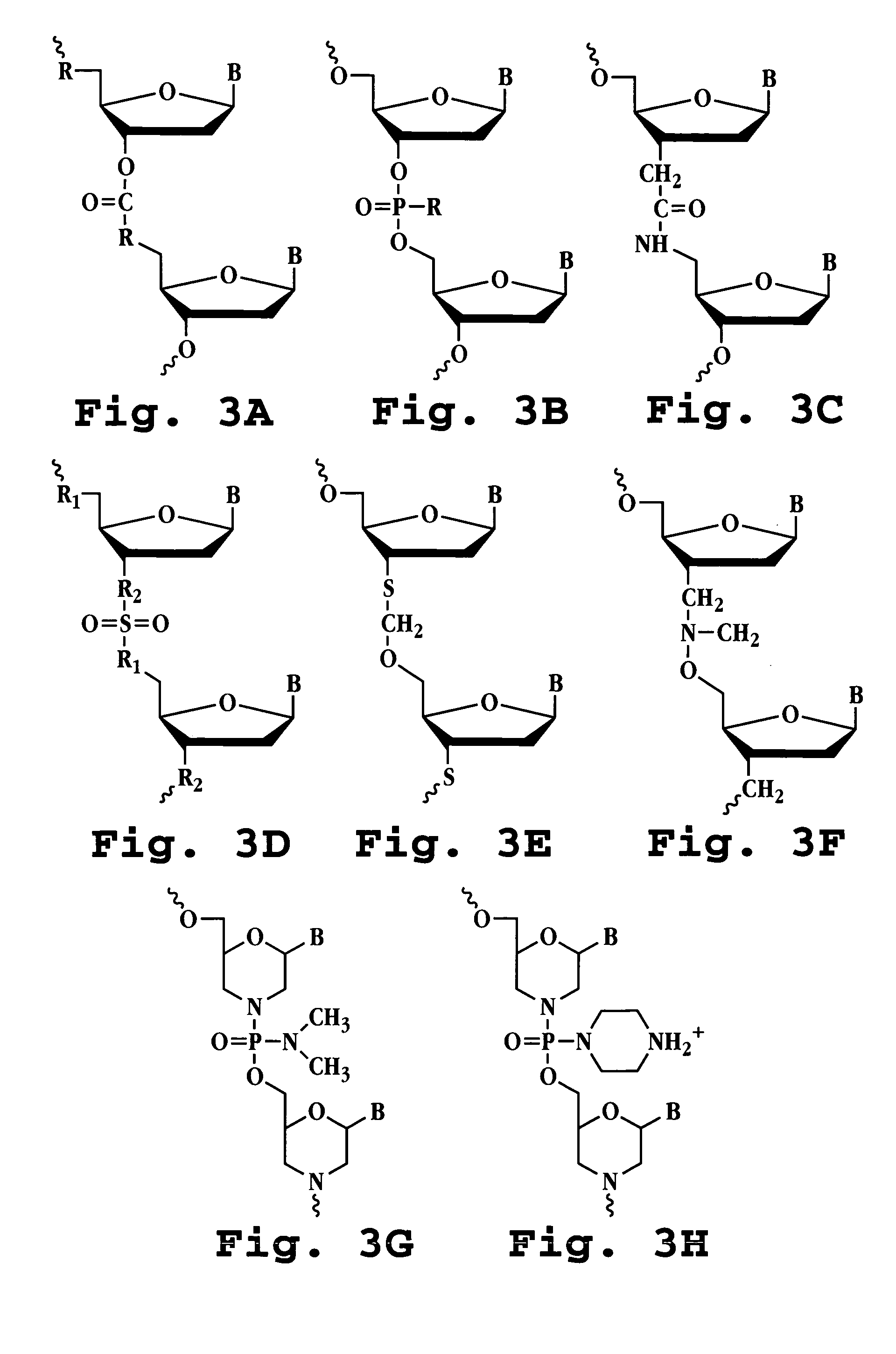 Antisense antibacterial method and compound