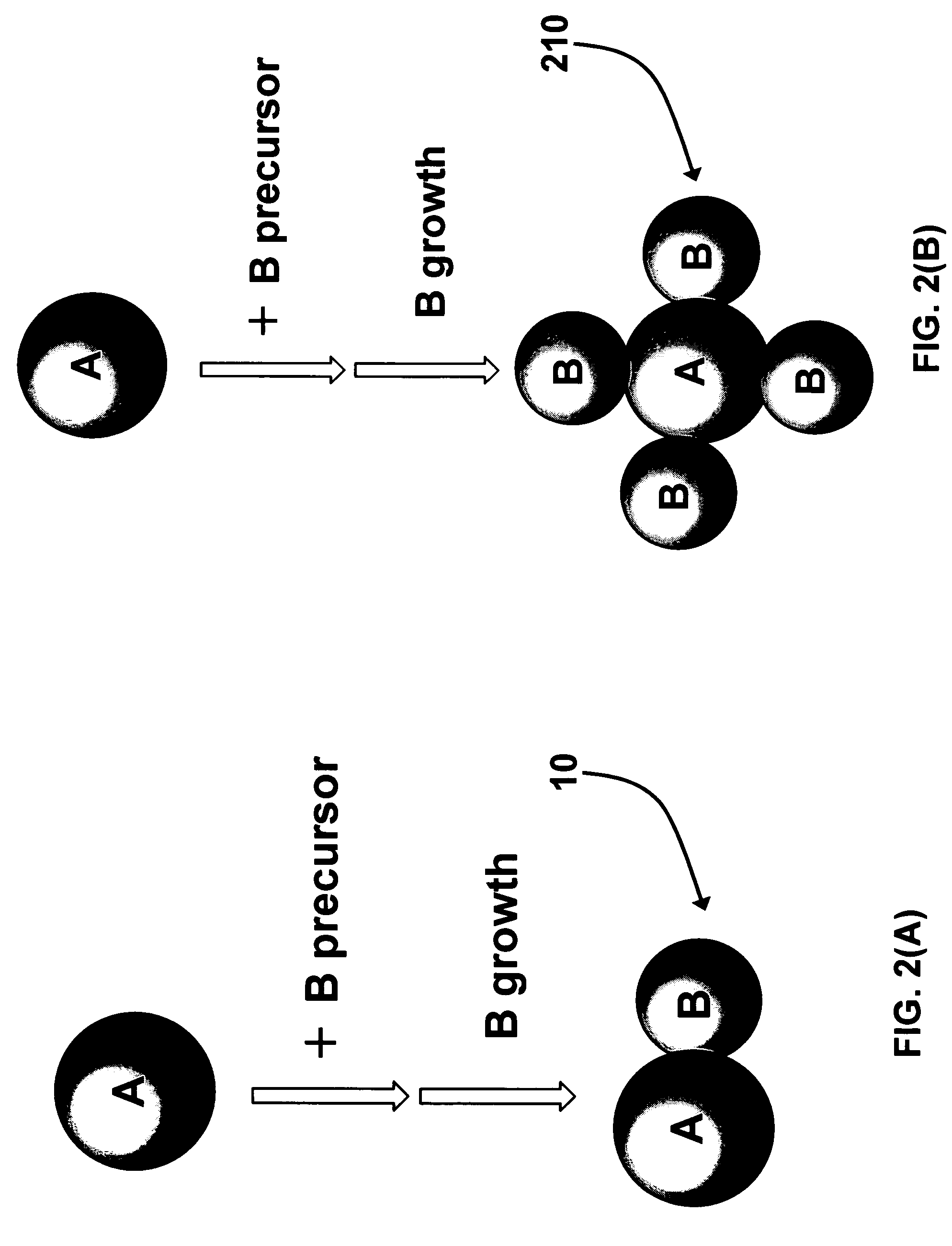 Dumbbell-like nanoparticles and a process of forming the same