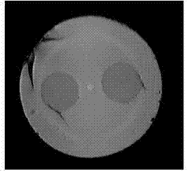 Panda type polarization maintaining fiber side looking shaft alignment device and panda type polarization maintaining fiber side looking shaft alignment method