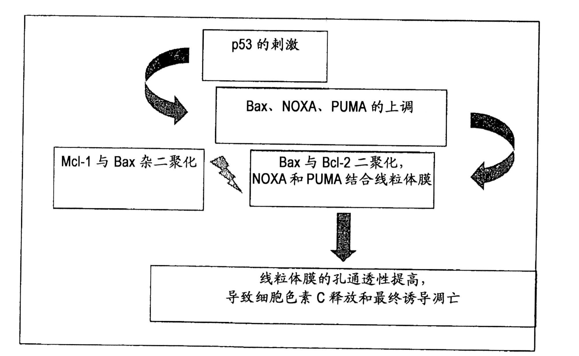 Methods and use of inducing apoptosis in cancer cells