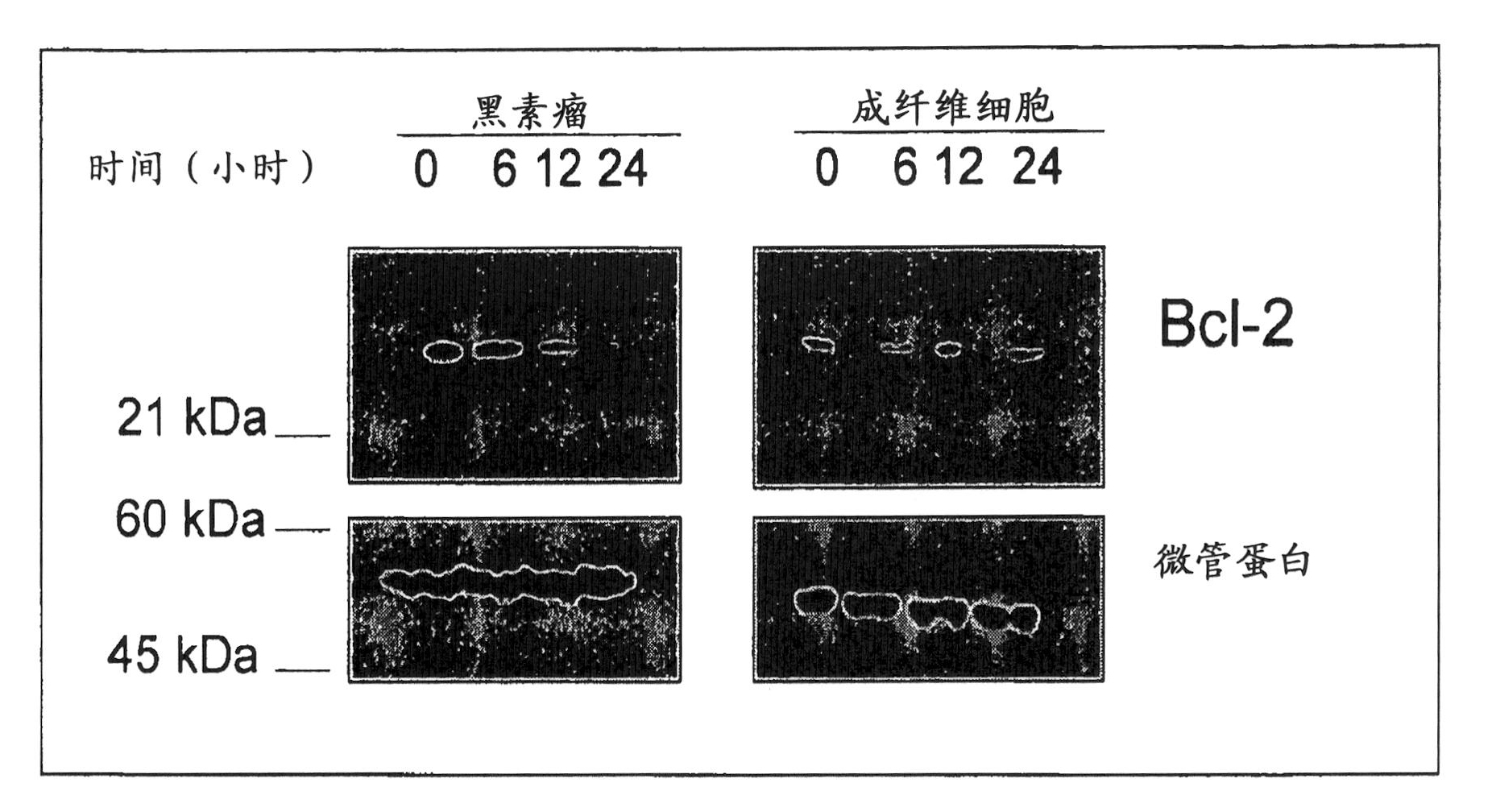 Methods and use of inducing apoptosis in cancer cells