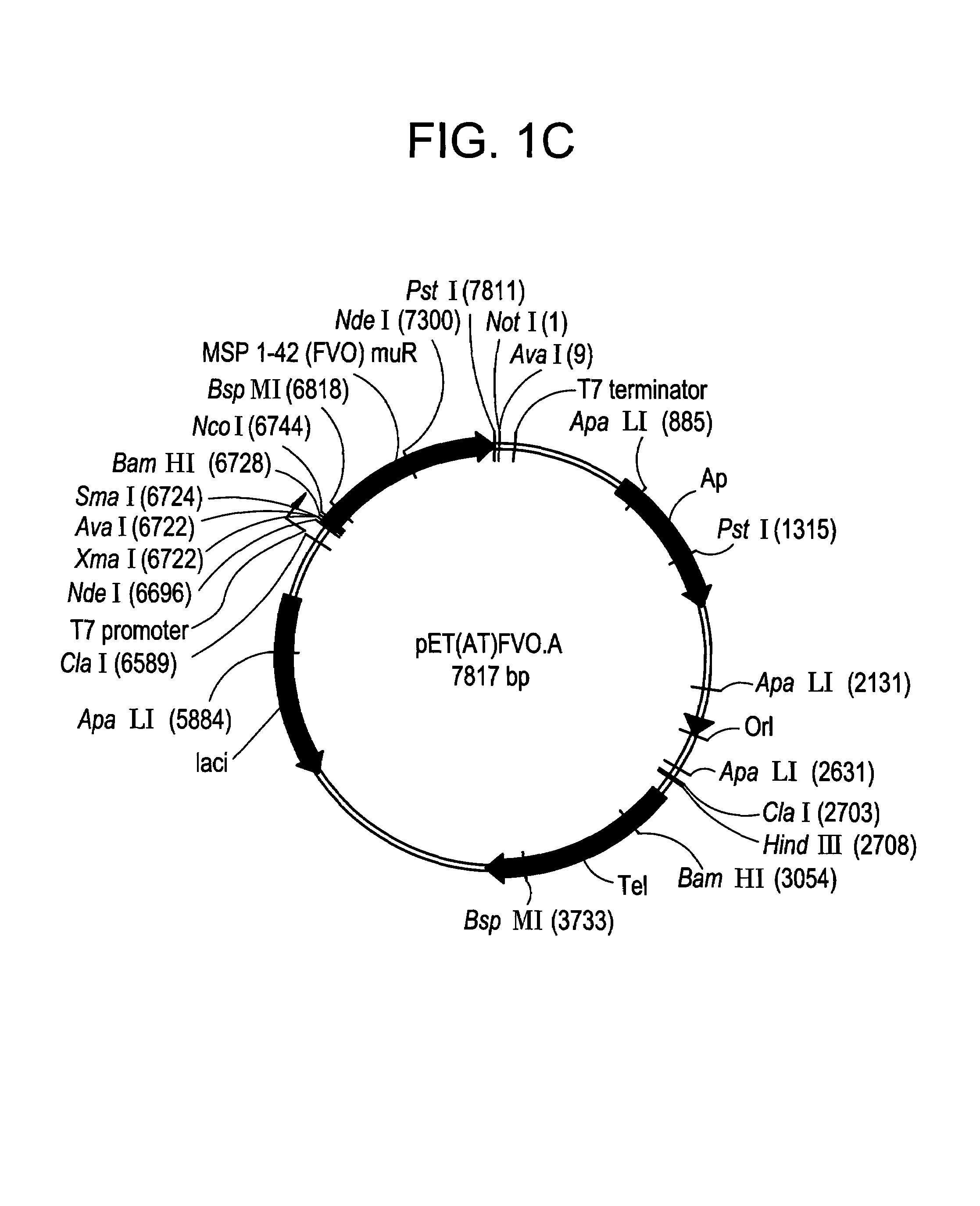 Recombinant P. falciparum merozoite protein-142 vaccine