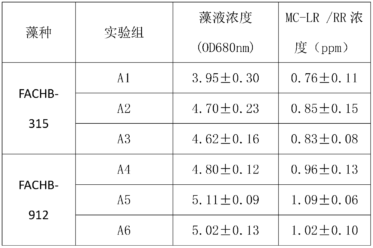 N-15 marked microcystis and production method thereof