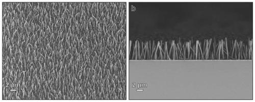 Preparation method of silicon dioxide nanorod array