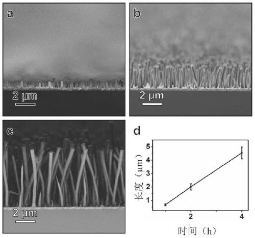 Preparation method of silicon dioxide nanorod array