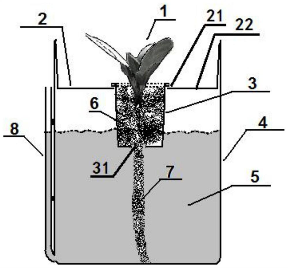 Gene editing tobacco single plant hydroponic device and hydroponic method