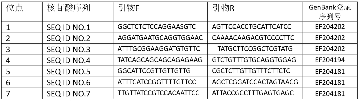 Genetic diversity analysis method for inbreeding male giant freshwater prawn