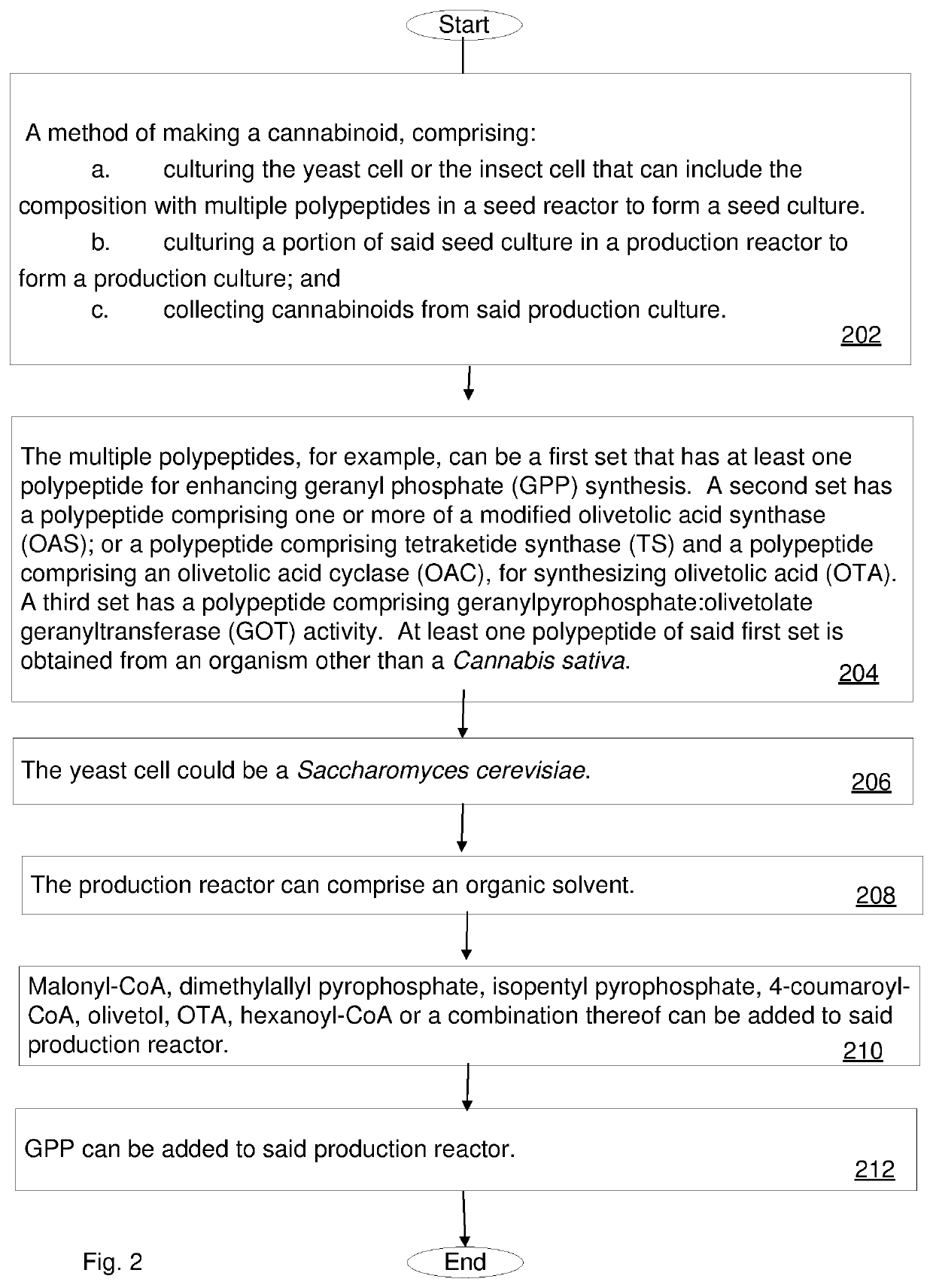 Cannabinoid Production by Synthetic In Vivo Means