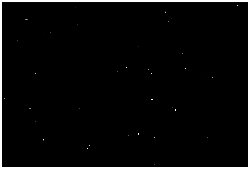 Anti-oxidative and moisturizing liquid crystal composition and preparation method and application thereof