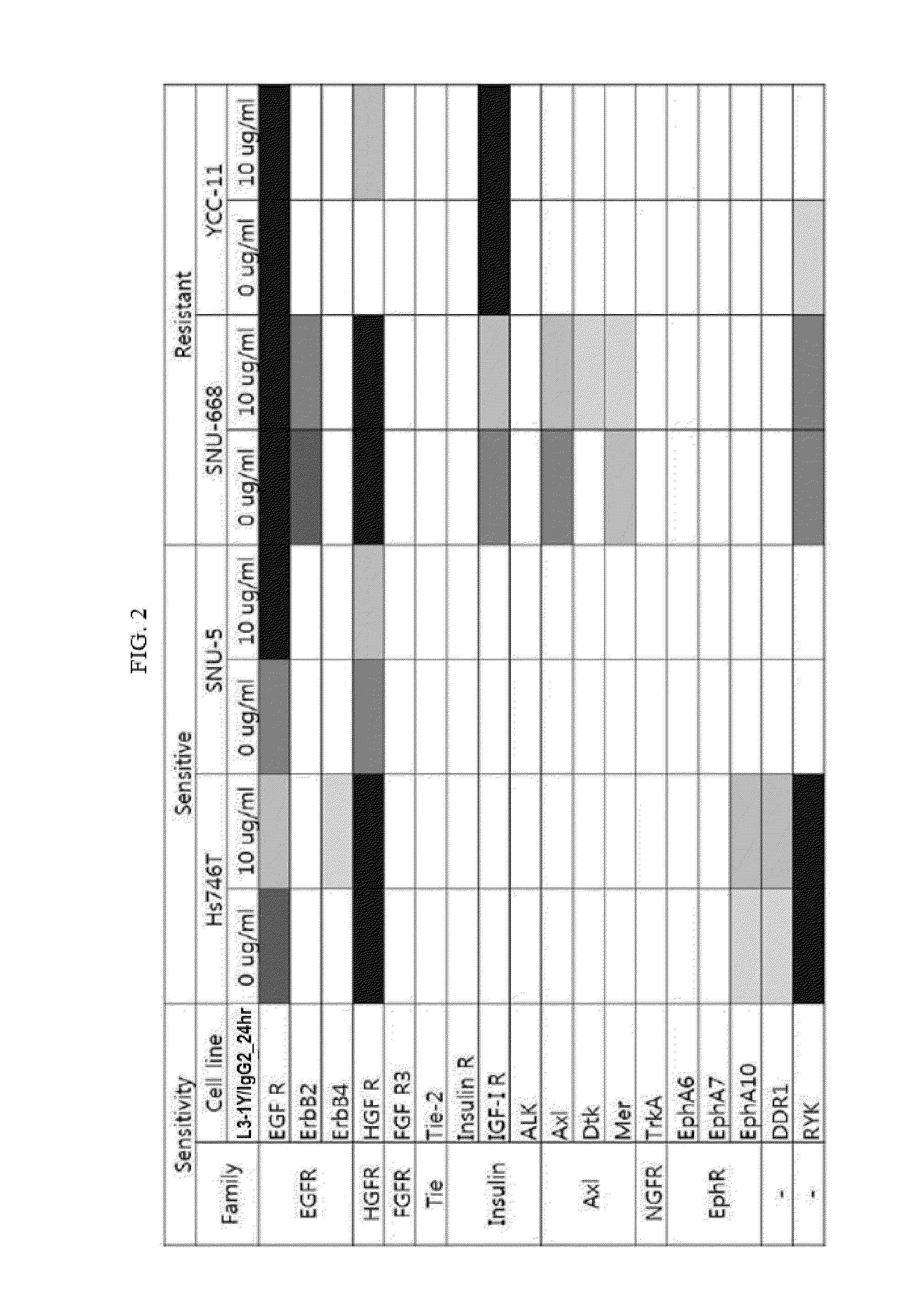 Combination therapy using c-met inhibitor and igf-1r inhibitor