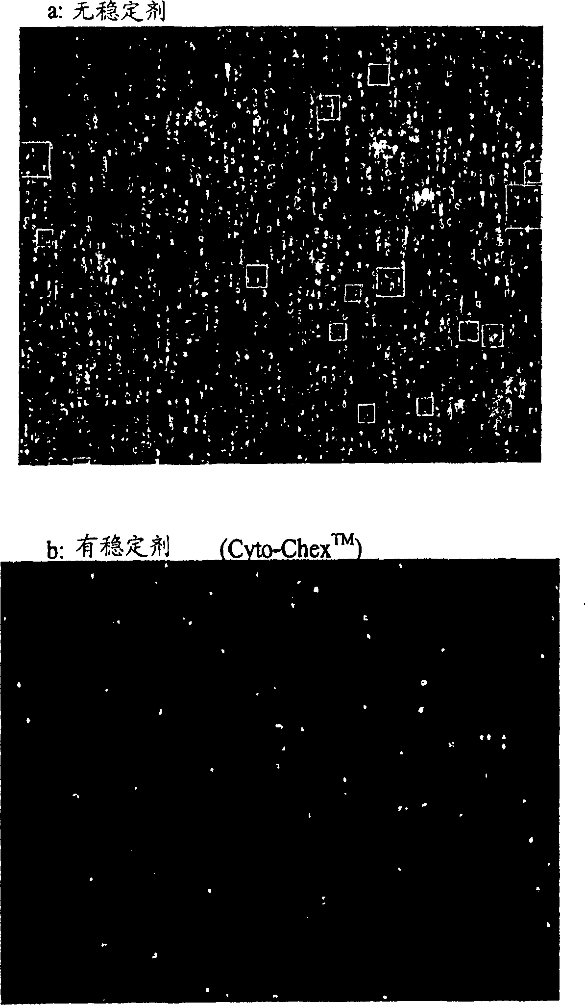 Stabilization of cells and biological specimens for analysis