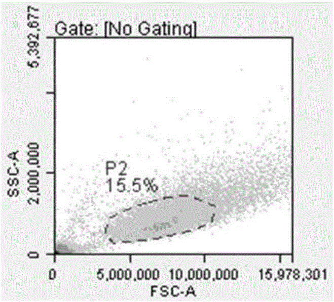 Culture medium and application thereof as well as method for culturing dental pulp stem cells