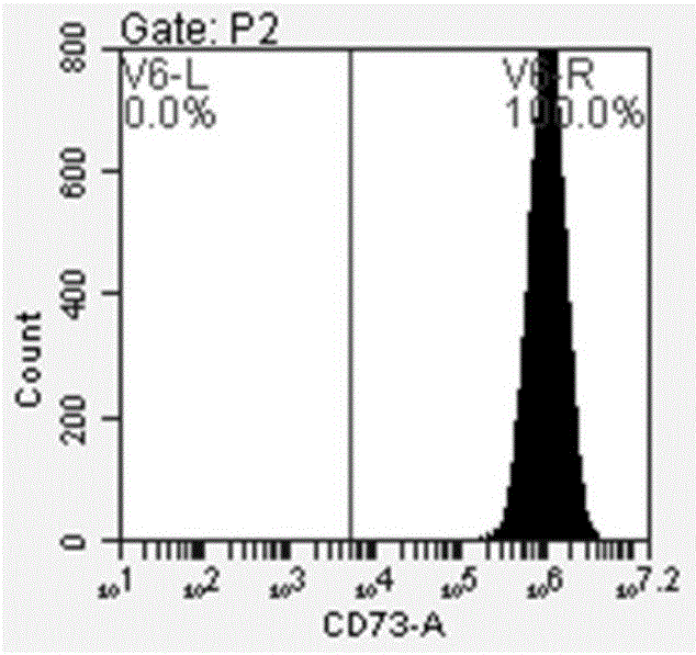 Culture medium and application thereof as well as method for culturing dental pulp stem cells