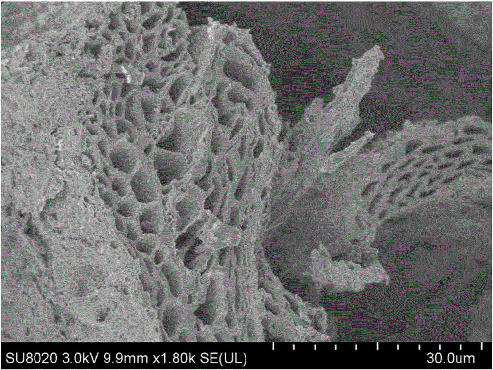 Fe/C composite material prepared from oolitic hematite and adopting porous structure as well as preparation method of Fe/C composite material