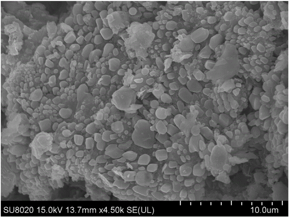 Fe/C composite material prepared from oolitic hematite and adopting porous structure as well as preparation method of Fe/C composite material