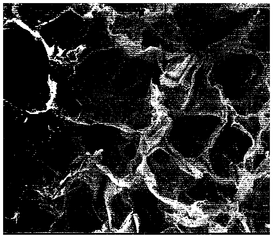 Method for preparing chitosan/hyaluronic acid/gelatin crosslinked composite porous stent