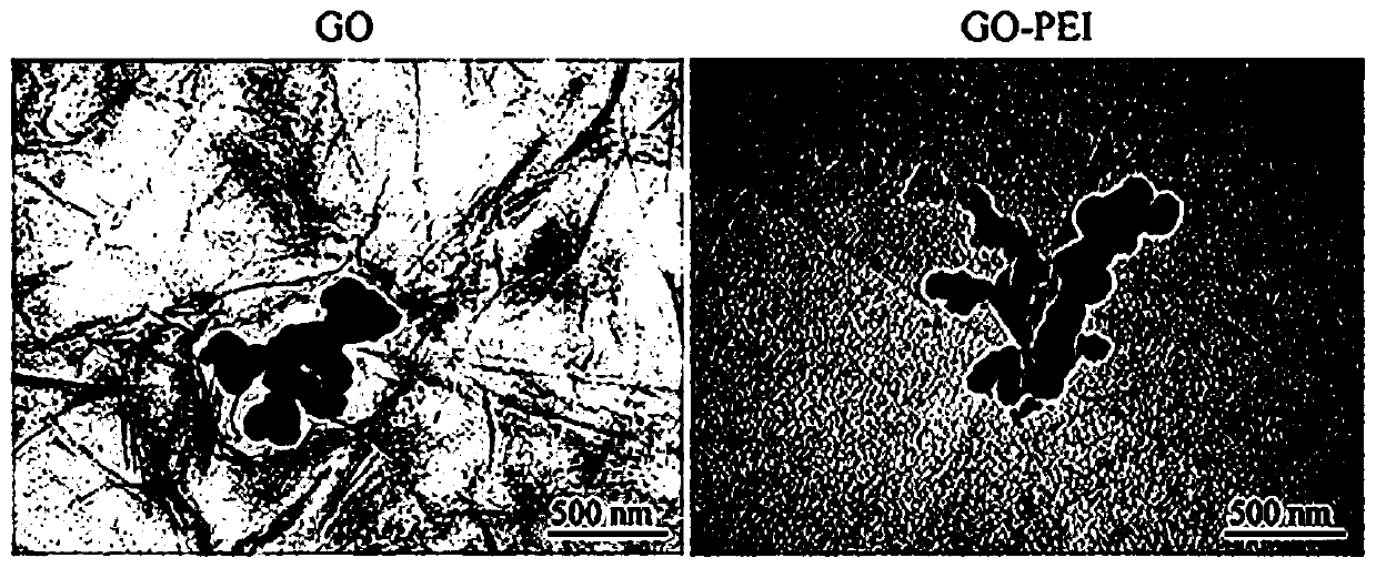 Preparation method and application of degradable material having function of inducing osteogenic differentiation and osteanagenesis