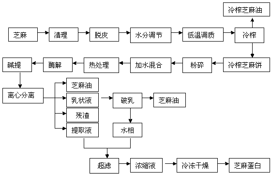 Method for preparing oil and protein by cold pressing and enzymolysis of sesame