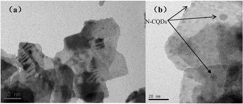 Bismuth tungstate composite photocatalyst modified by nitrogen-doped carbon quantum dot and preparation method and application thereof