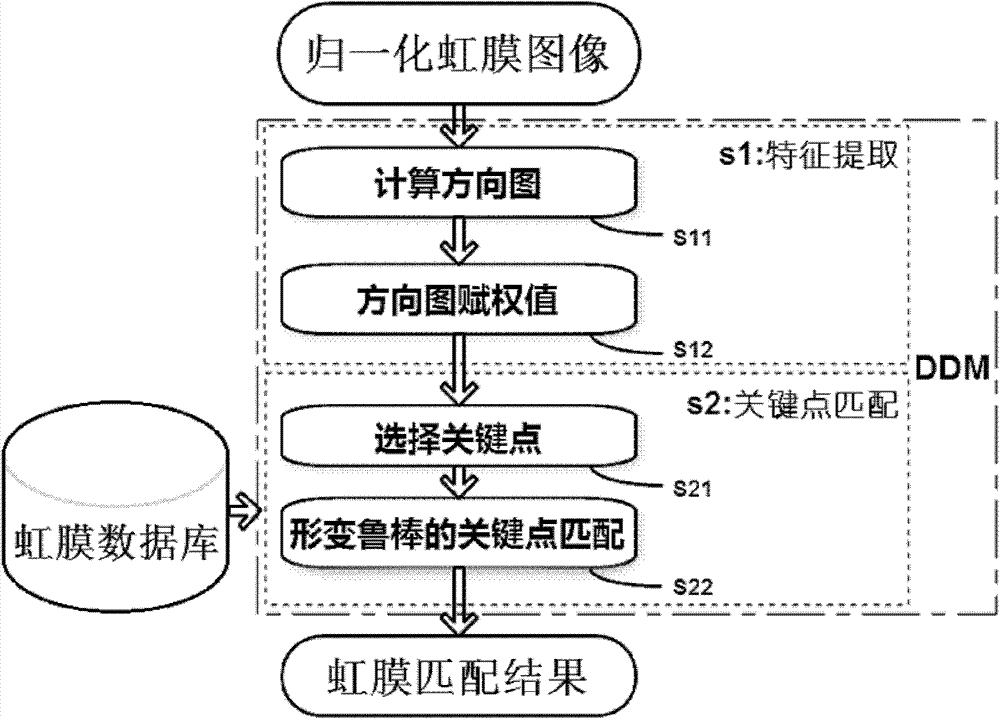 DAISY-characteristic-based deformable iris matching method